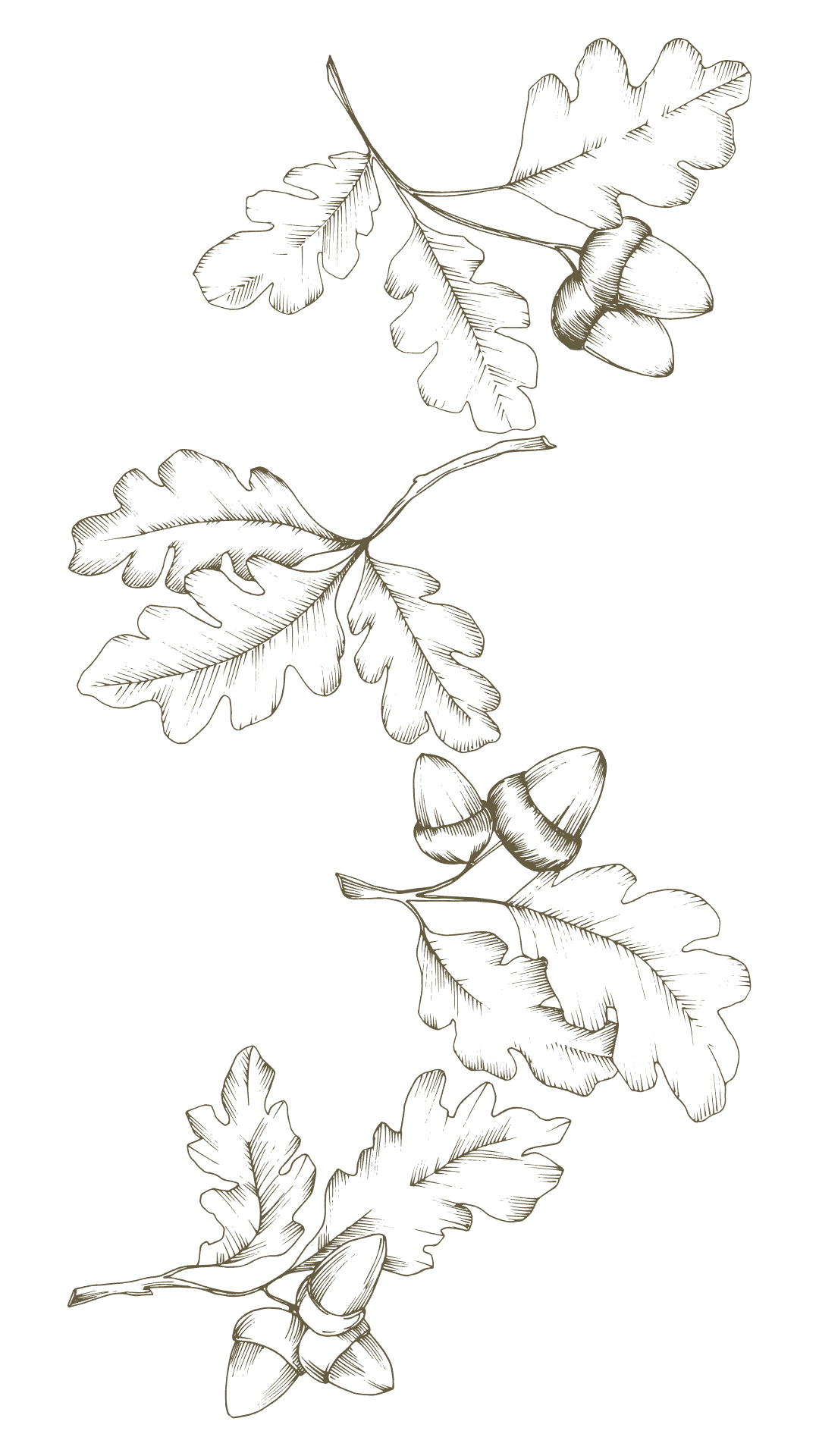 Diseño sin título (6)